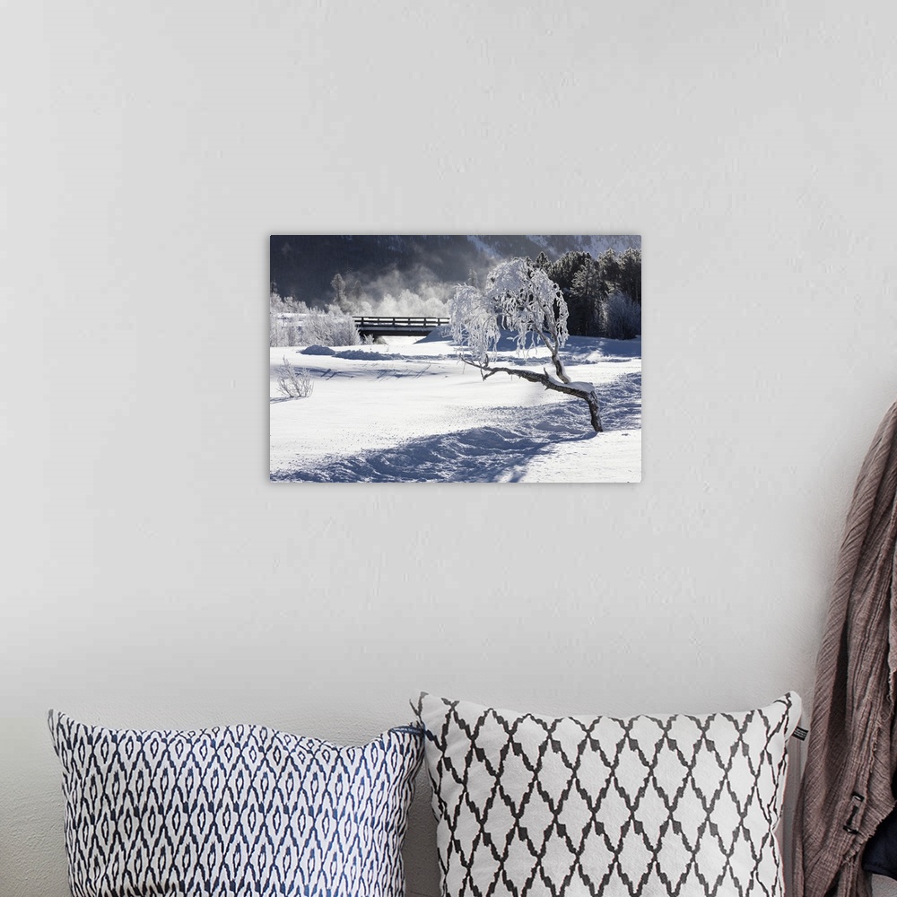 A bohemian room featuring Frost on tree branches frames the snowy landscape, Celerina, Maloja, Canton of Graubunden, Engadi...