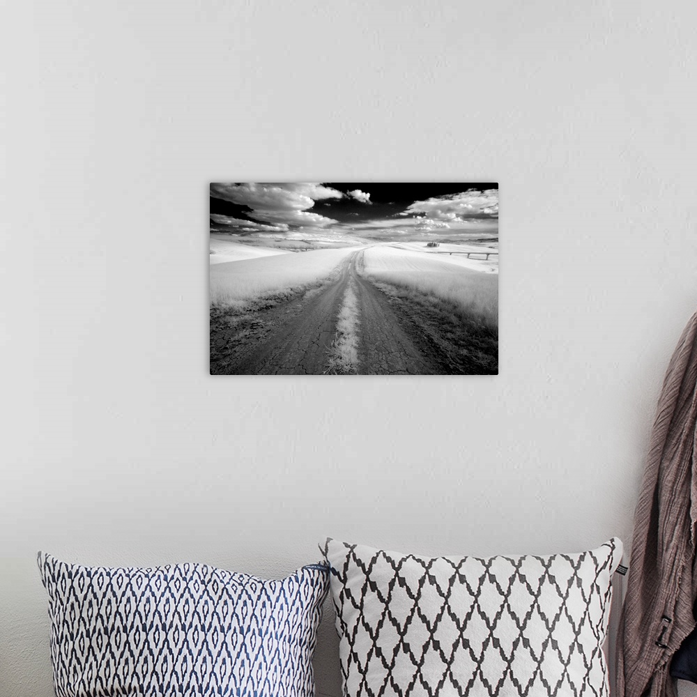 A bohemian room featuring Infrared image of dirt track through fields near San Quirico d'Orcia, Tuscany, Italy