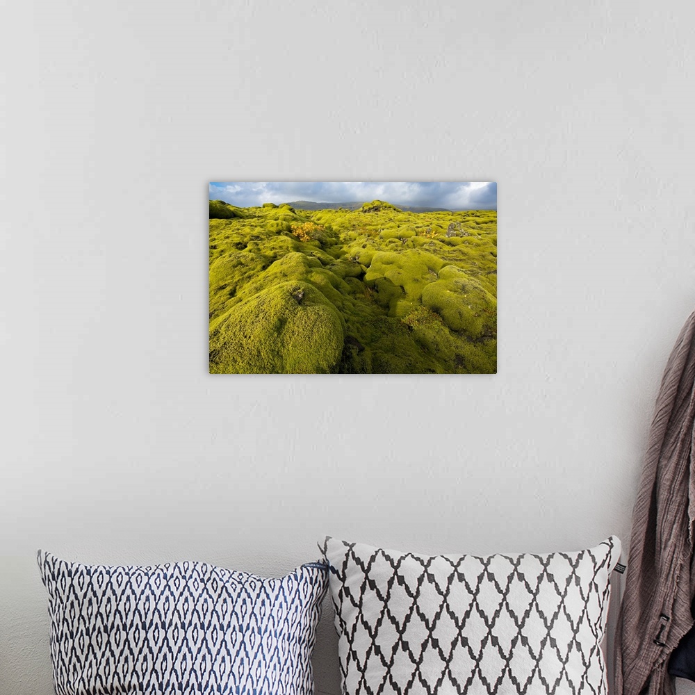 A bohemian room featuring Landscape of lava covered in moss, South Iceland, Polar Regions