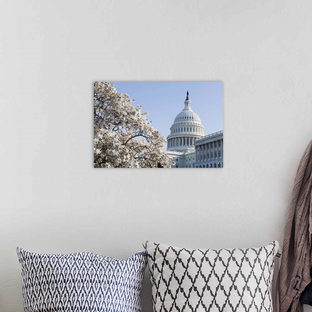 A bohemian room featuring Spring cherry blossom, The Capitol Building, Capitol Hill, Washington D.C