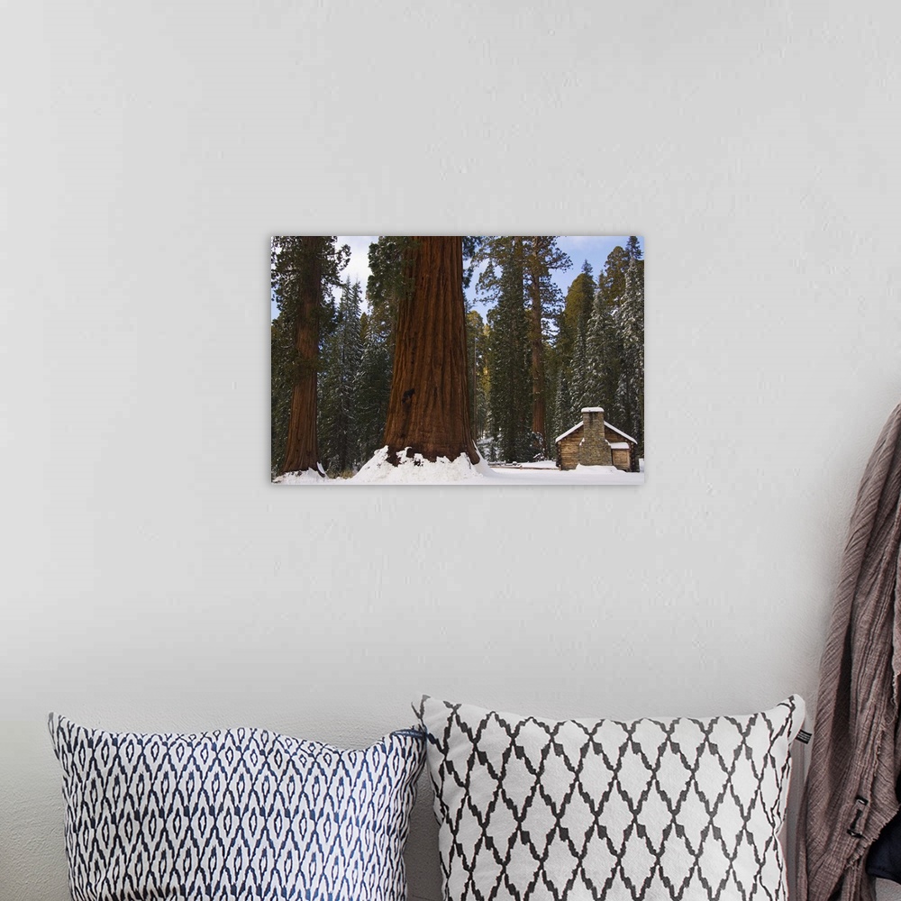 A bohemian room featuring Stone brick museum dwarfed by giant sequoia trees, Yosemite National Park, California