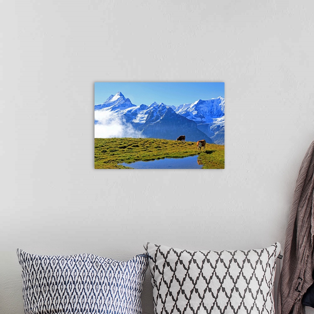 A bohemian room featuring View from First to Bernese Alps, Grindelwald, Bernese Oberland, Canton of Bern, Switzerland