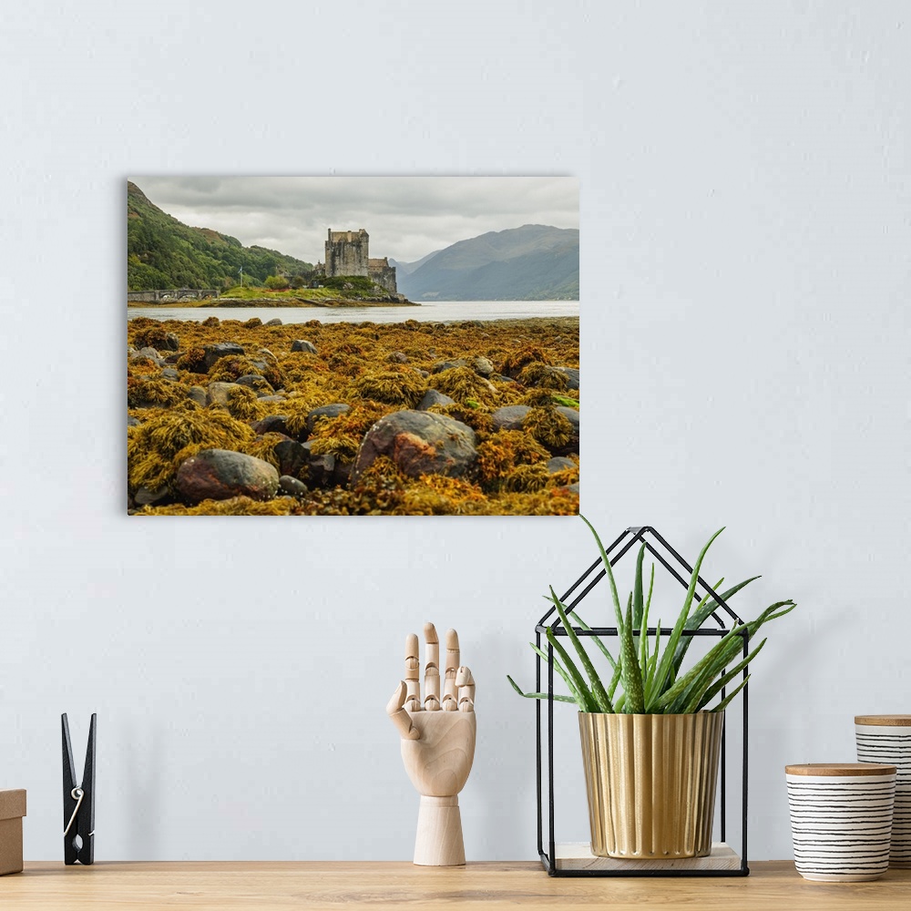 A bohemian room featuring View of the Eilean Donan Castle, Dornie, Highlands, Scotland, United Kingdom, Europe