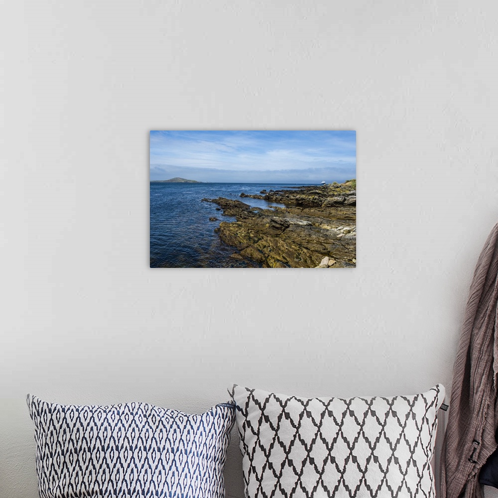 A bohemian room featuring View over Carcass Island, Falkland Islands, South America