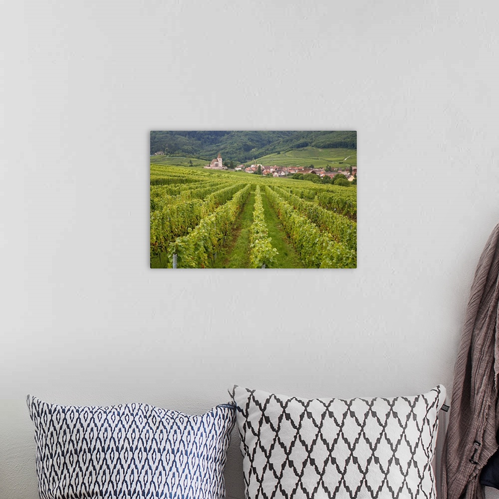 A bohemian room featuring Vineyards and villages along the Wine Route, Alsace, France, Europe