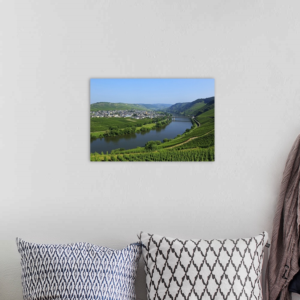 A bohemian room featuring Vineyards near Trittenheim, Moselle Valley, Rhineland-Palatinate, Germany