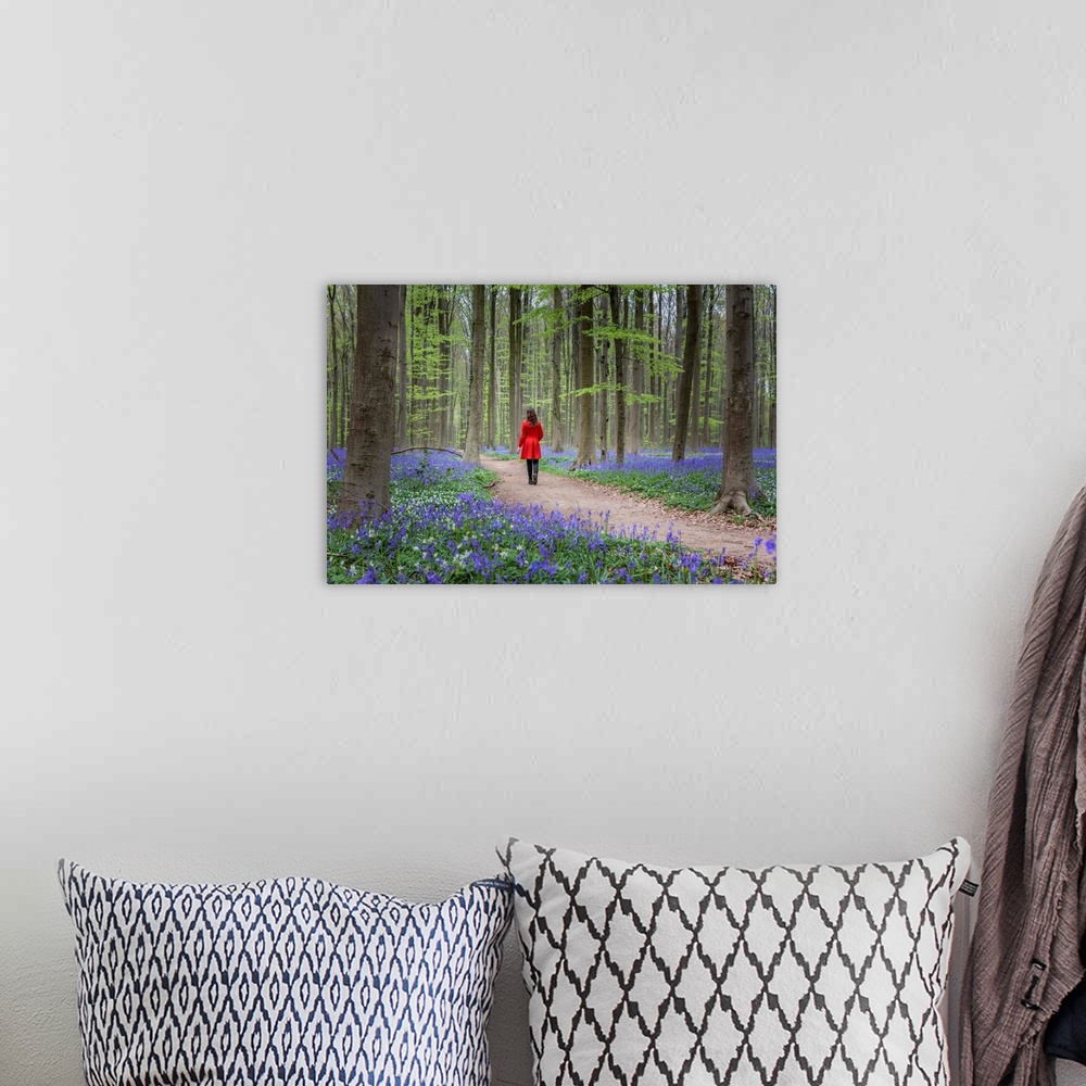A bohemian room featuring Woman in red coat walking through bluebell woods, Hallerbos, Belgium