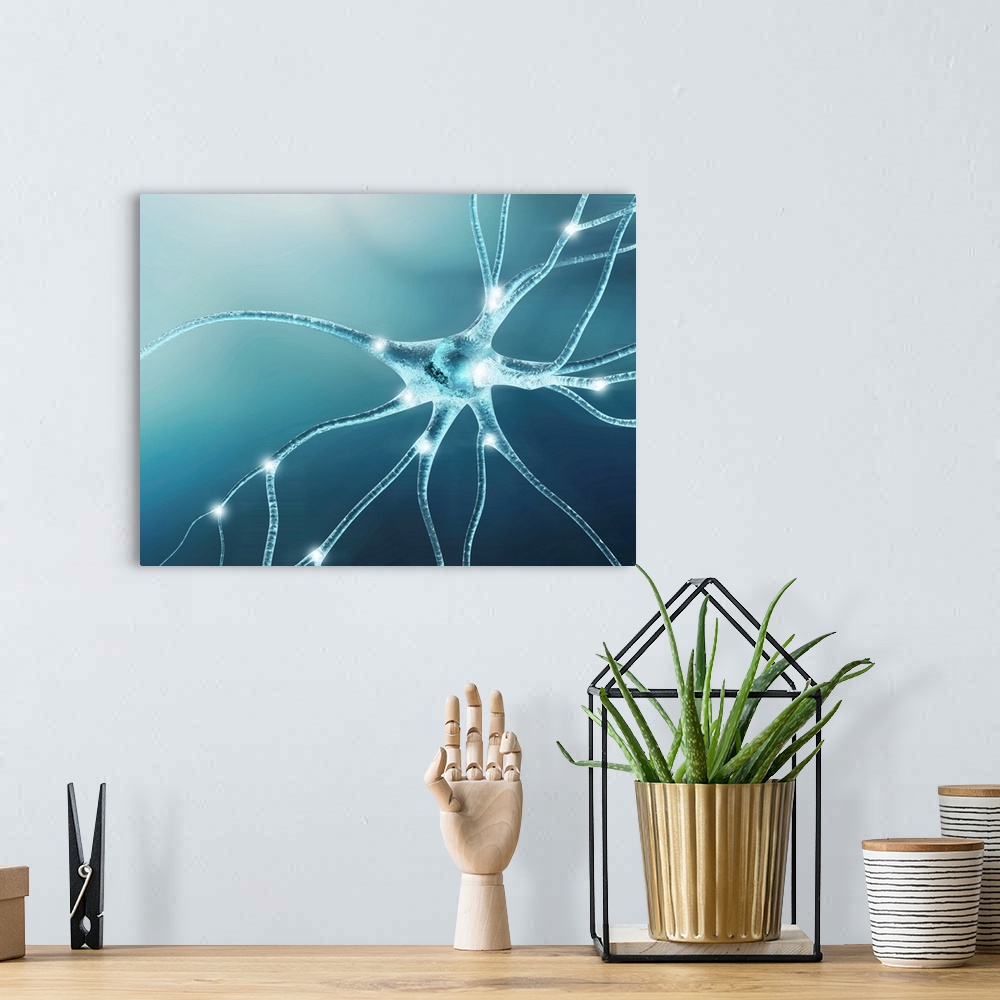 A bohemian room featuring Computer artwork of a nerve cell, also called a neuron. Neurons are responsible for passing infor...