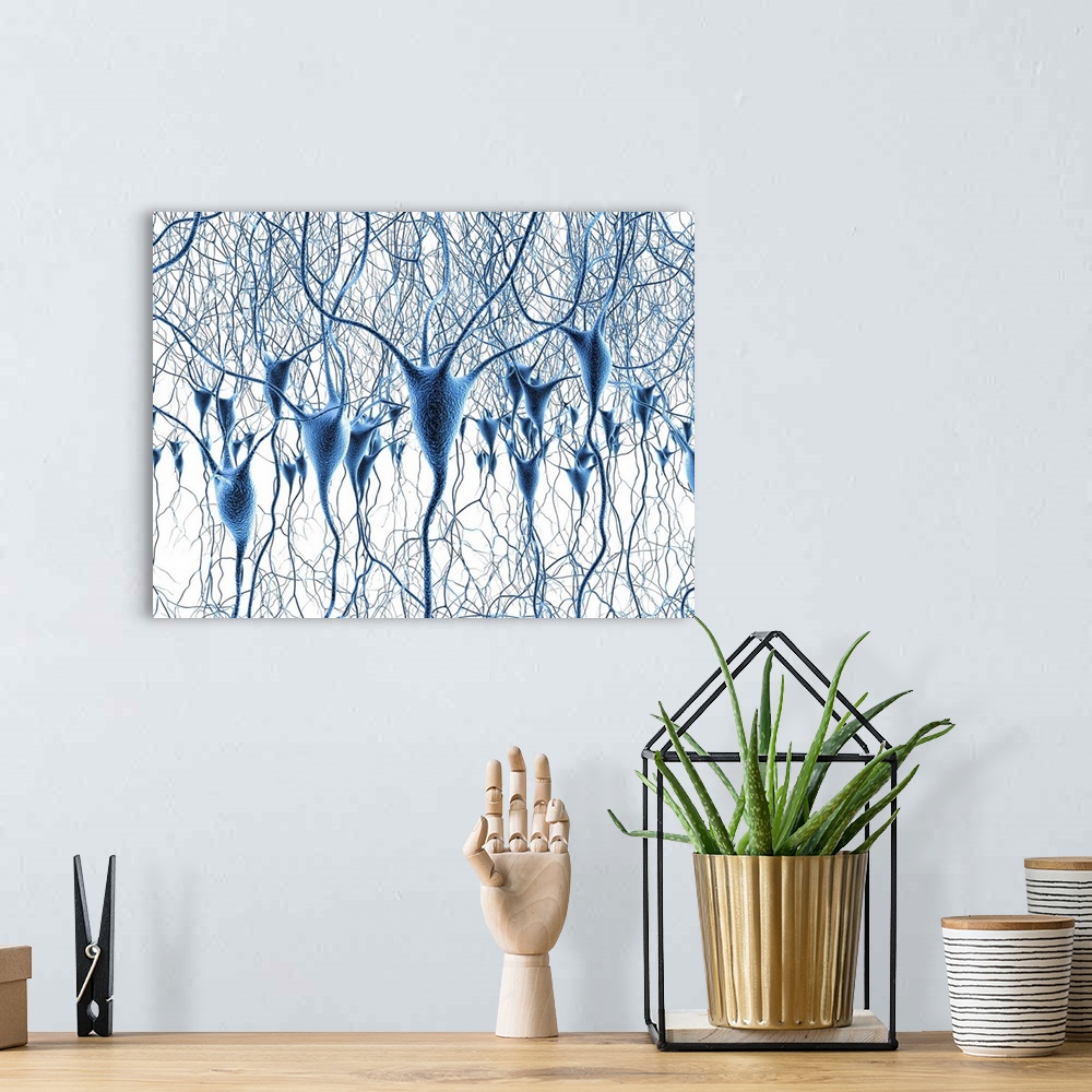 A bohemian room featuring Computer artwork of nerve cells, also called neurons. Neurons are responsible for passing informa...