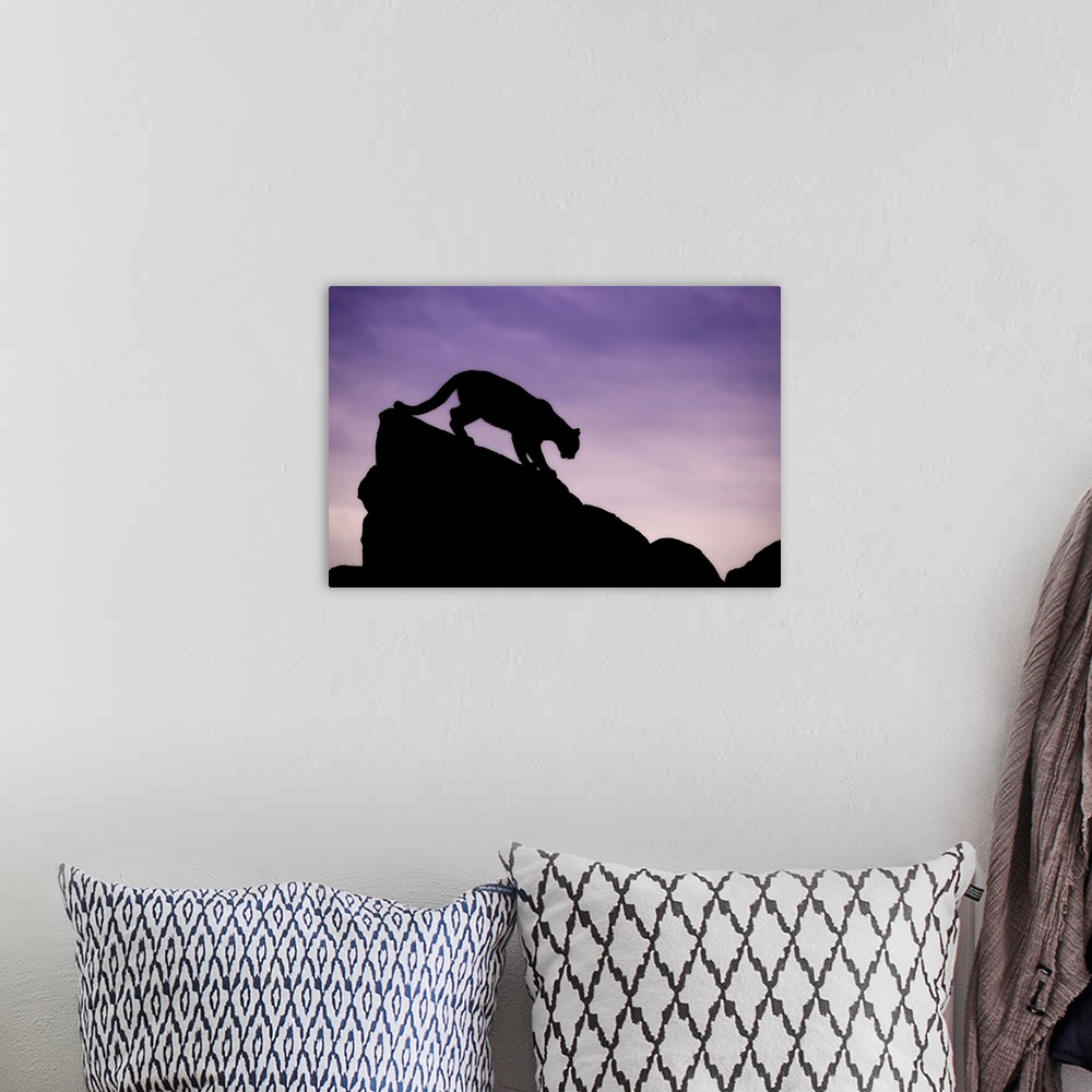 mountain lion silhouette