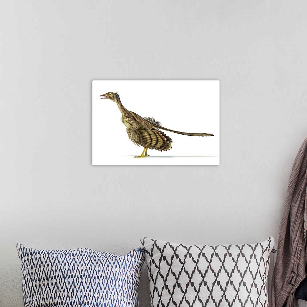 A bohemian room featuring Archaeopteryx dinosaur on white background.