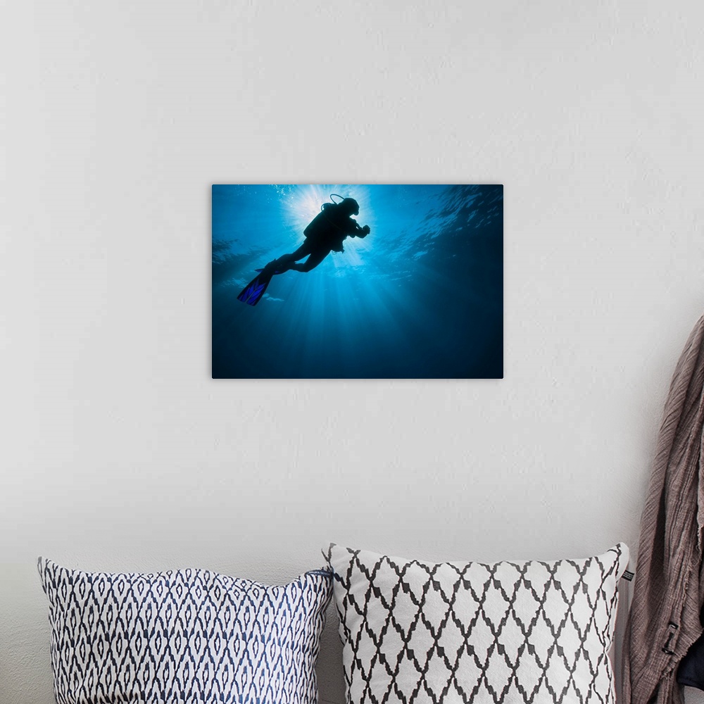A bohemian room featuring Diver swimming past the sunlight in the Gulf of Mexico.