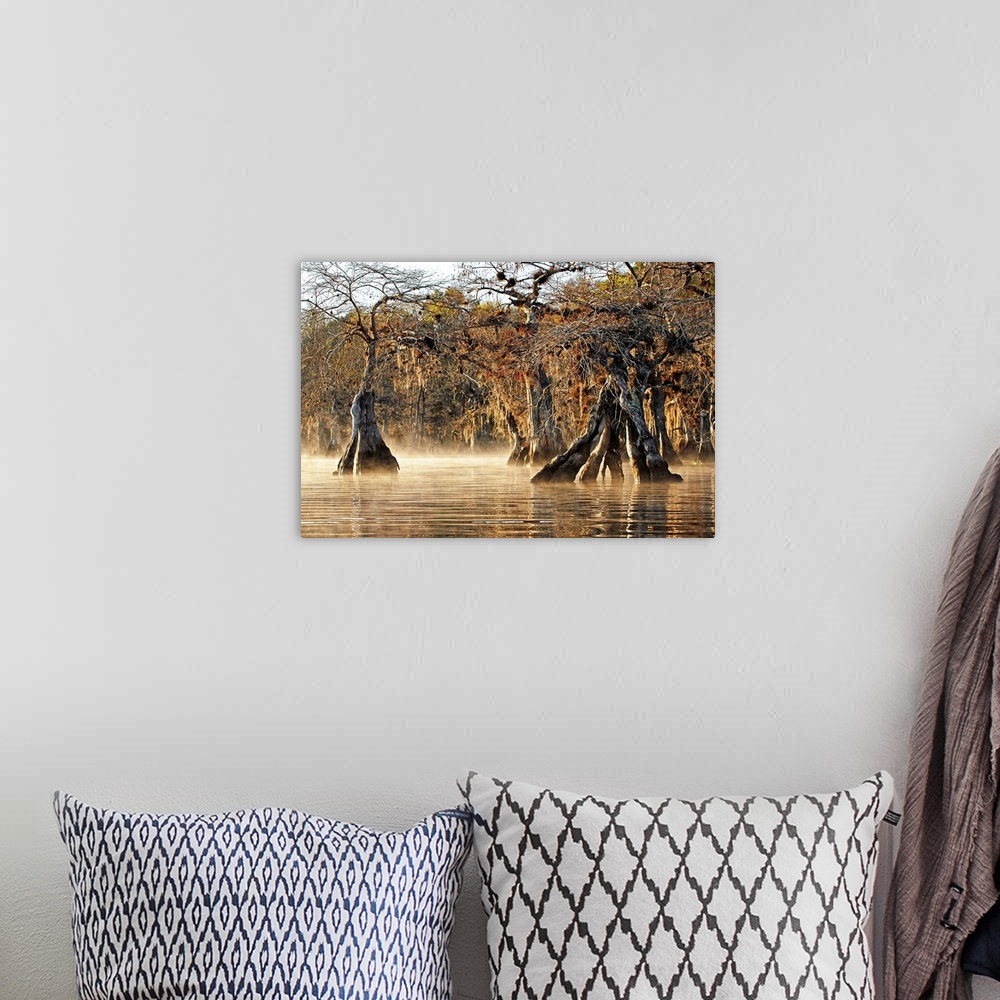 A bohemian room featuring A photograph of cypress trees on a foggy creek.