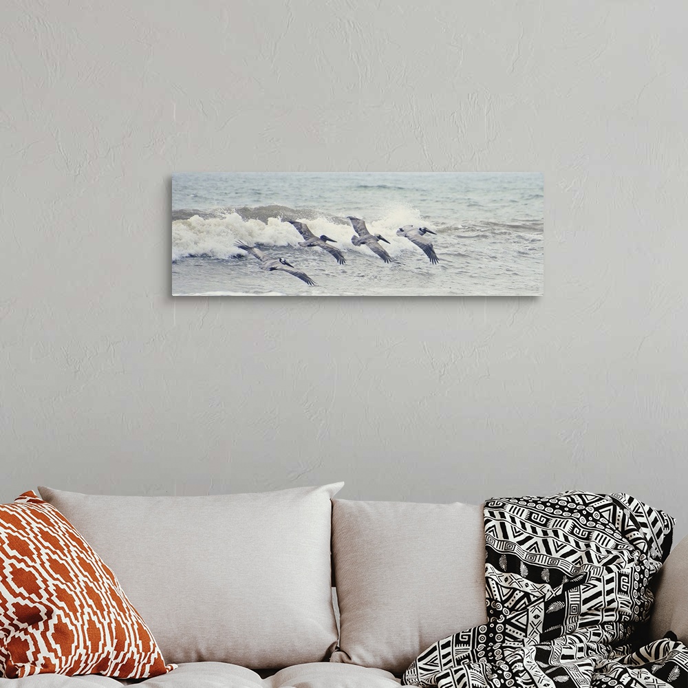 A bohemian room featuring A photograph of four pelicans flying in a line over ocean waves.