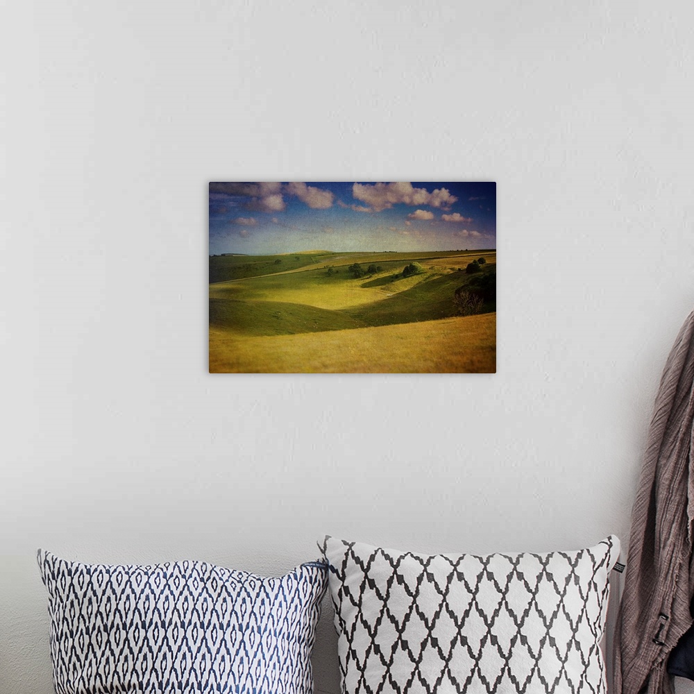 A bohemian room featuring Landscape of the South Downs in southern England with long grass and fields on a summer's day.
