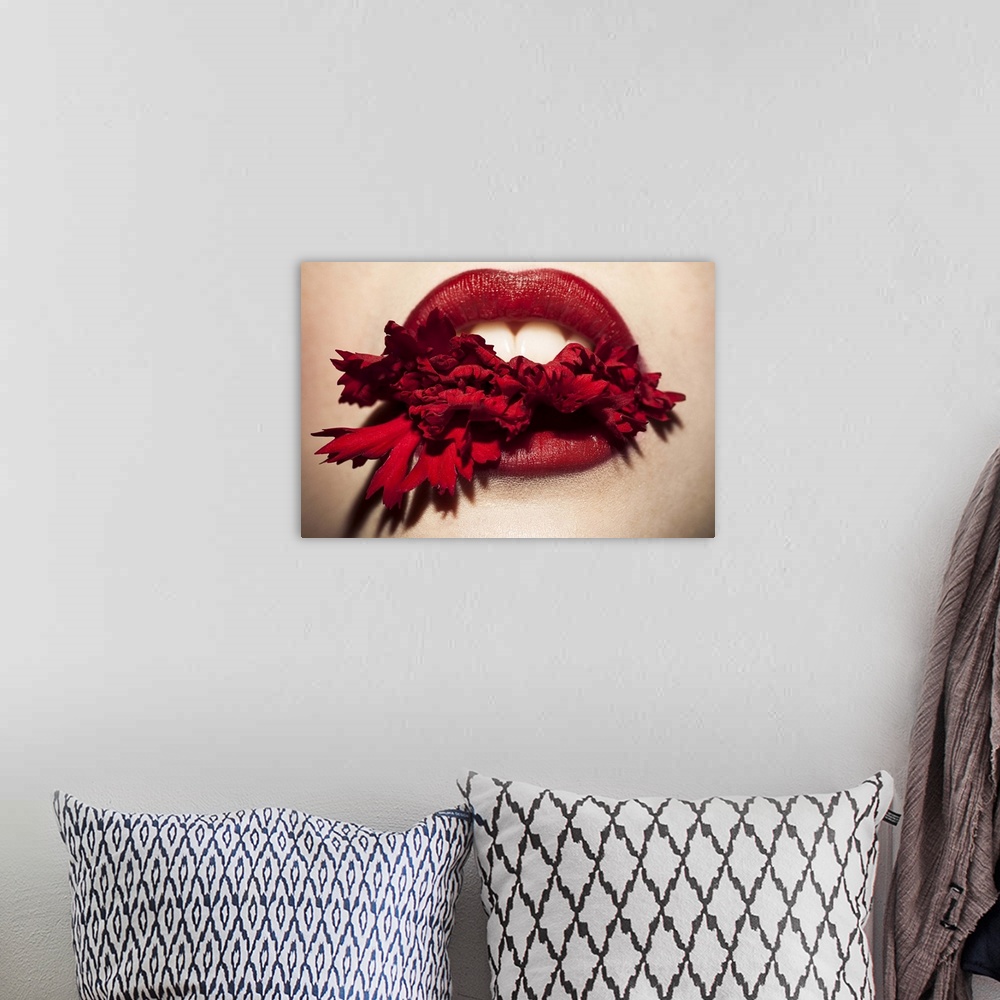 A bohemian room featuring Close up beauty photo of a mouth with red lips, biting down on a red flower