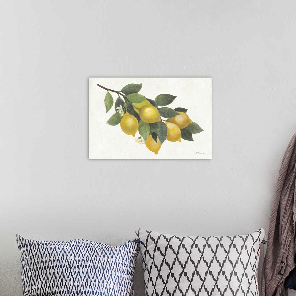 A bohemian room featuring Lemon Branch I