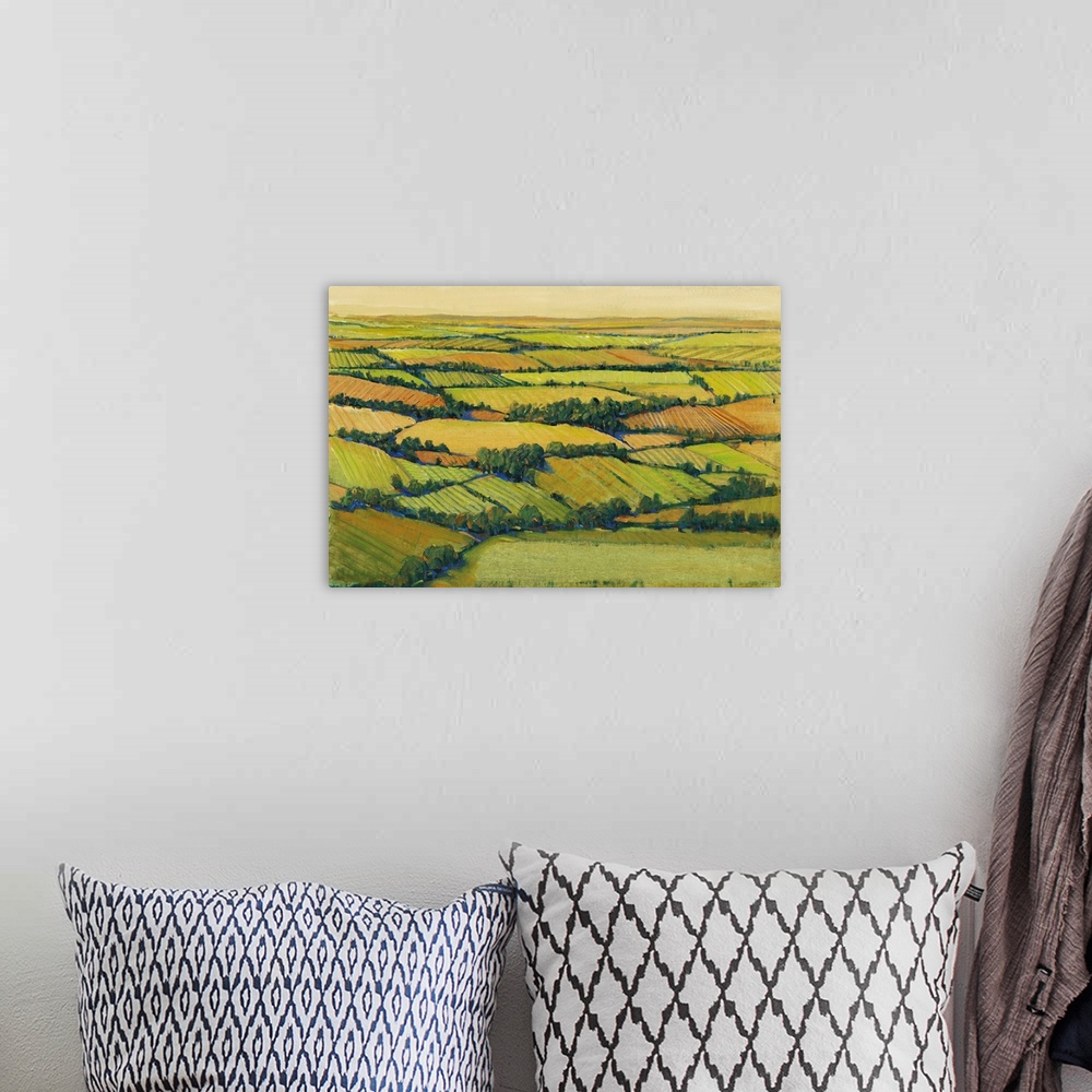 A bohemian room featuring Contemporary landscape painting of verdant farm fields.