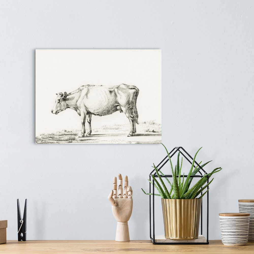 A bohemian room featuring Bernard Cow Sketch II