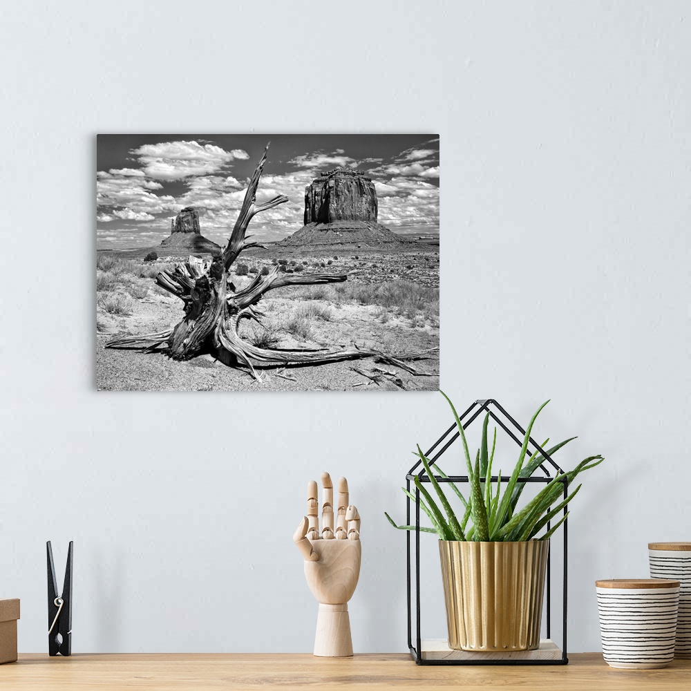 A bohemian room featuring Black and White Desert View V