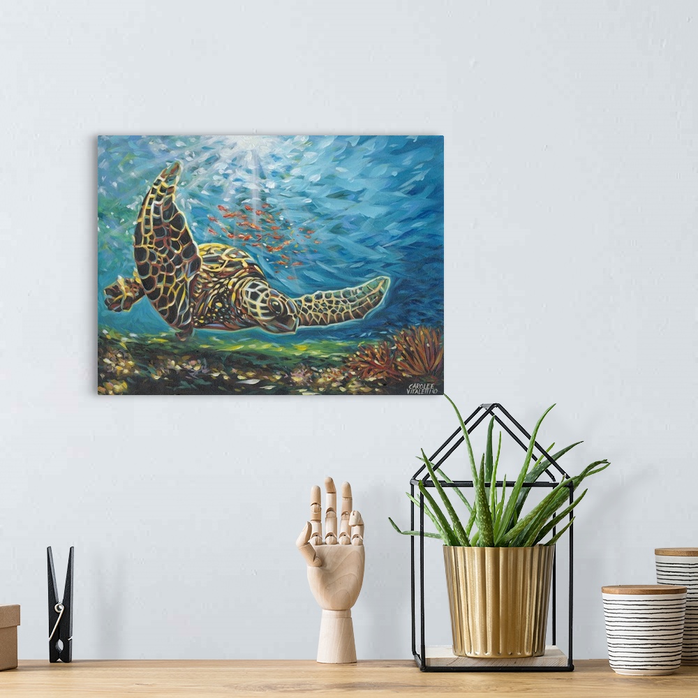 A bohemian room featuring Contemporary painting of a sea turtle swimming underwater in a coral reef.