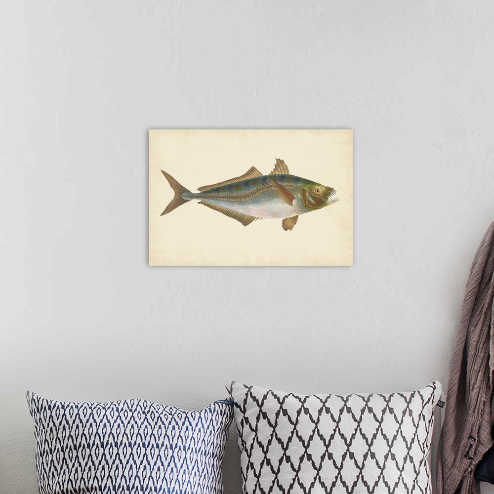 A bohemian room featuring Vintage stylized illustration of a fish against a parchment background.