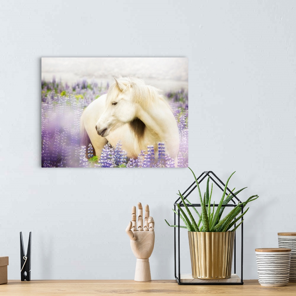 A bohemian room featuring Horse In Lavender III