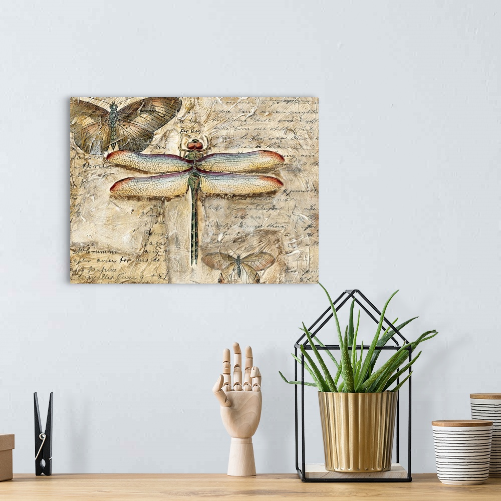 A bohemian room featuring Poetic Dragonfly II