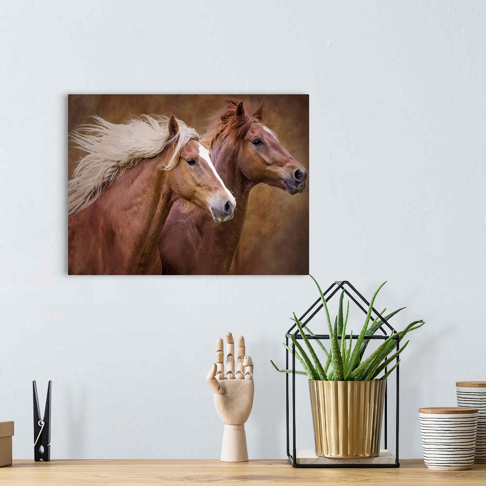 A bohemian room featuring A photograph of two brown horses running side by side.
