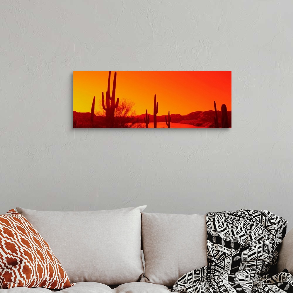 A bohemian room featuring Silhouette of Saguaro cacti at sunrise, Tonto National Forest, Arizona