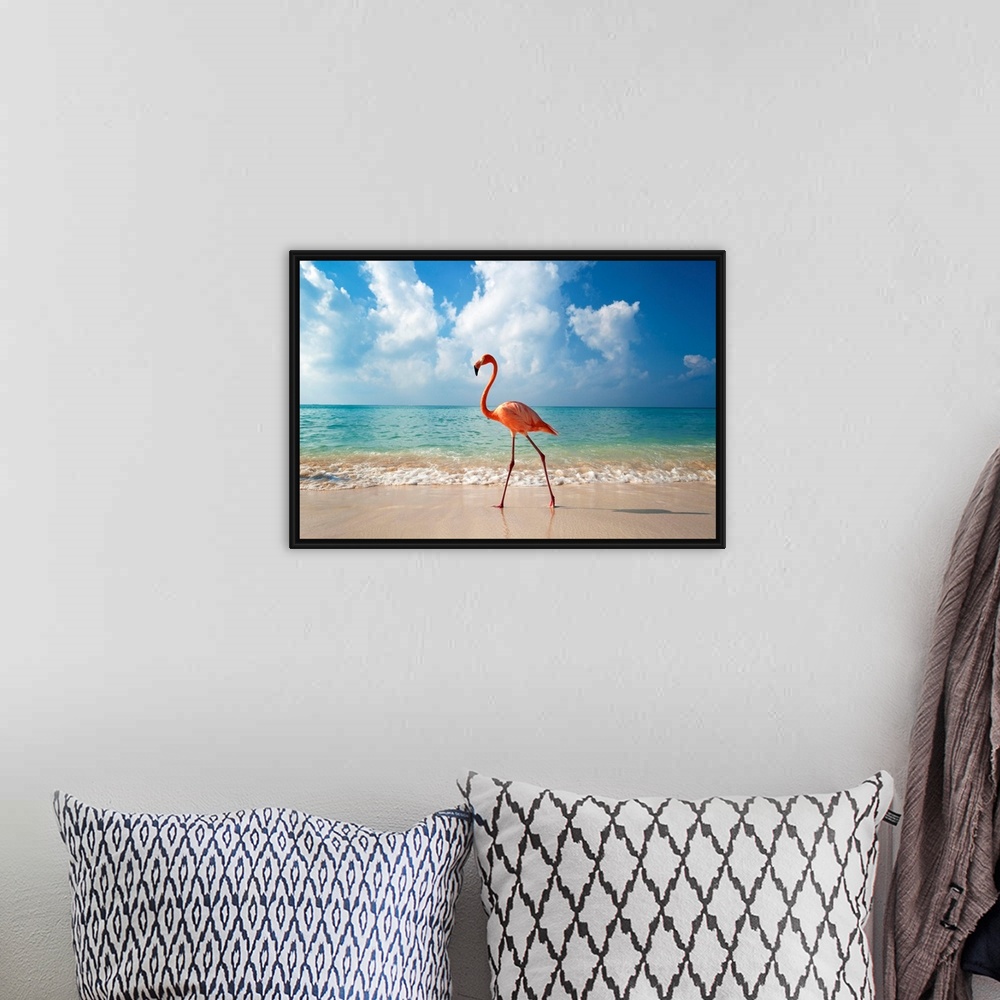 A bohemian room featuring Flamingo Walking Along Beach