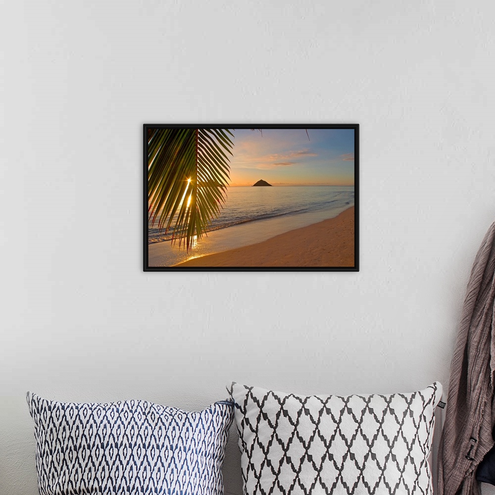 A bohemian room featuring Photograph of beach at dawn with mountain silhouettes in distance.  There is a single palm tree l...