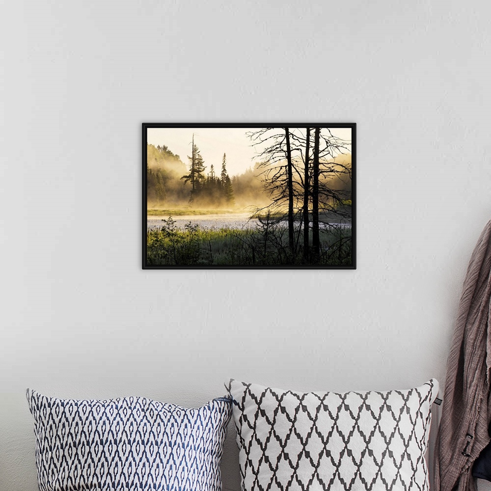 A bohemian room featuring Big photo on canvas of a forest landscape covered in fog and bathed in various places with warm s...