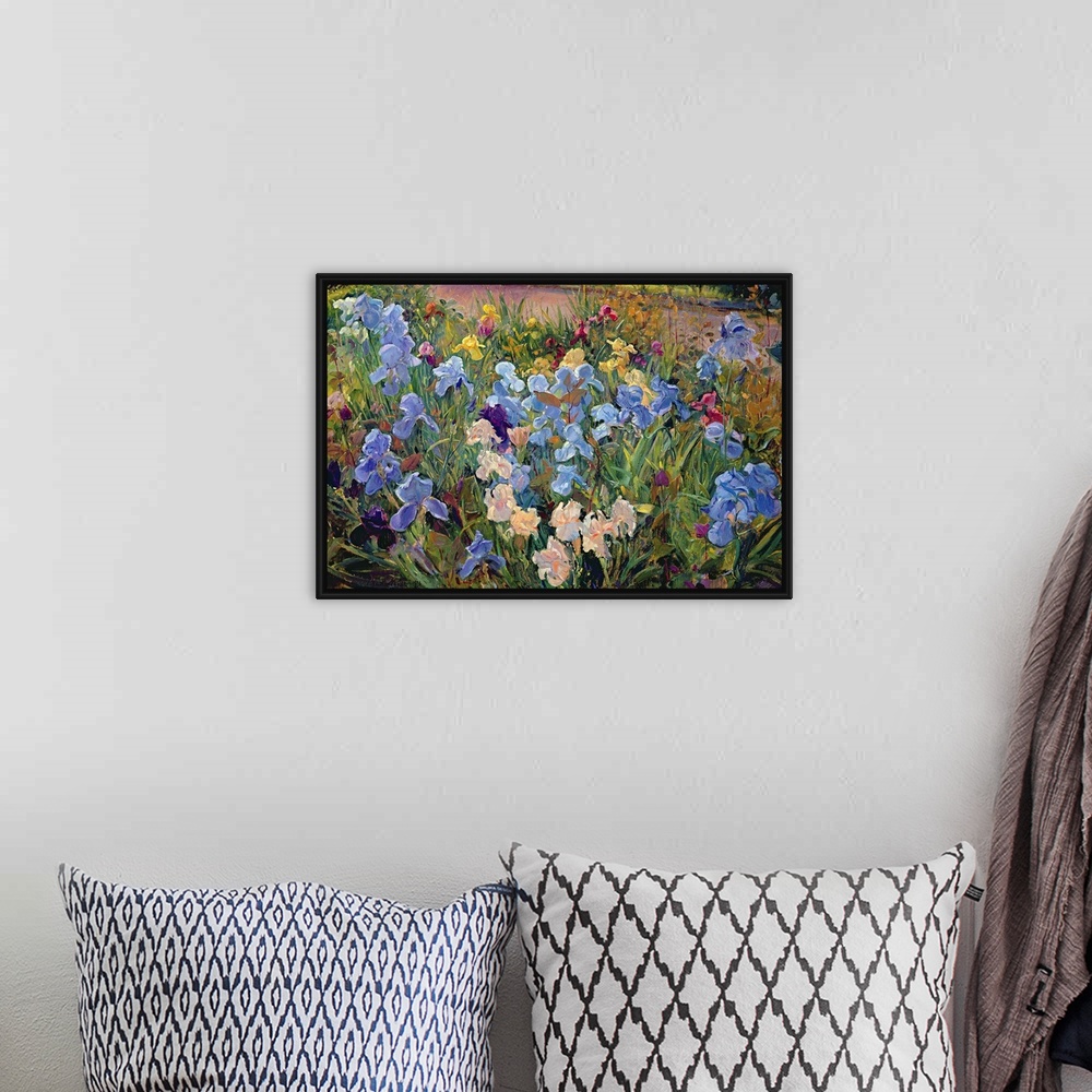 A bohemian room featuring A realistic photograph of a variety of multicolor irises growing beside a road in spring.
