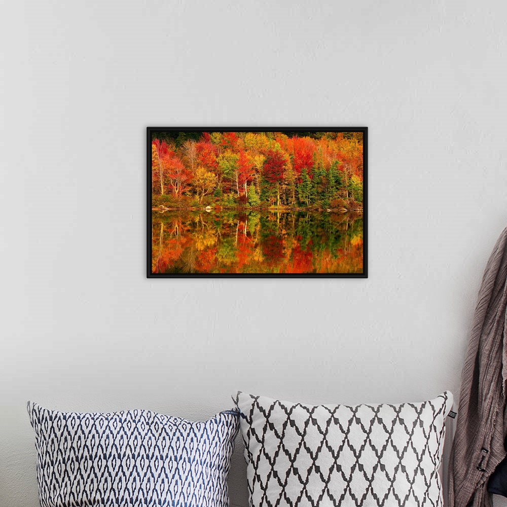 A bohemian room featuring New Hampshire, New England, White Mountains, Echo Lake in autumn