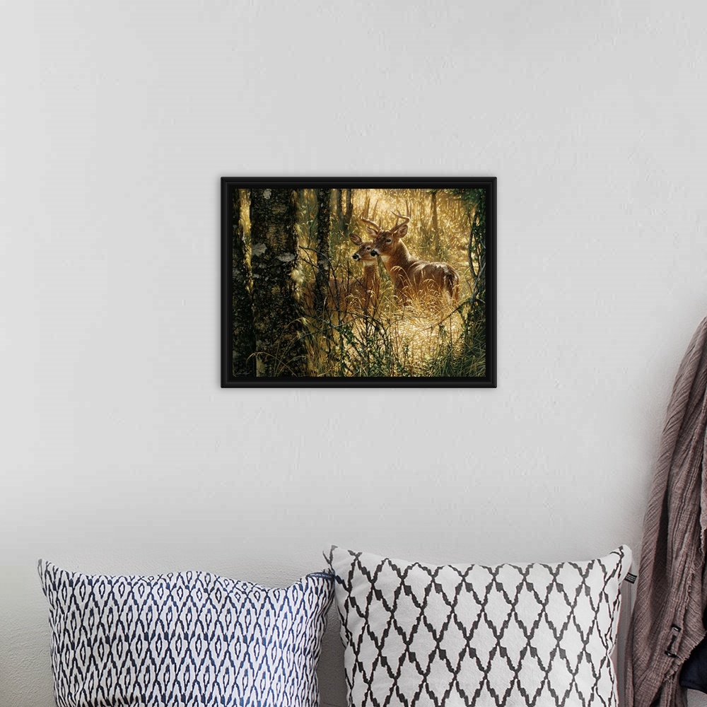 A bohemian room featuring Whitetail Deer - A Golden Moment - Horizontal