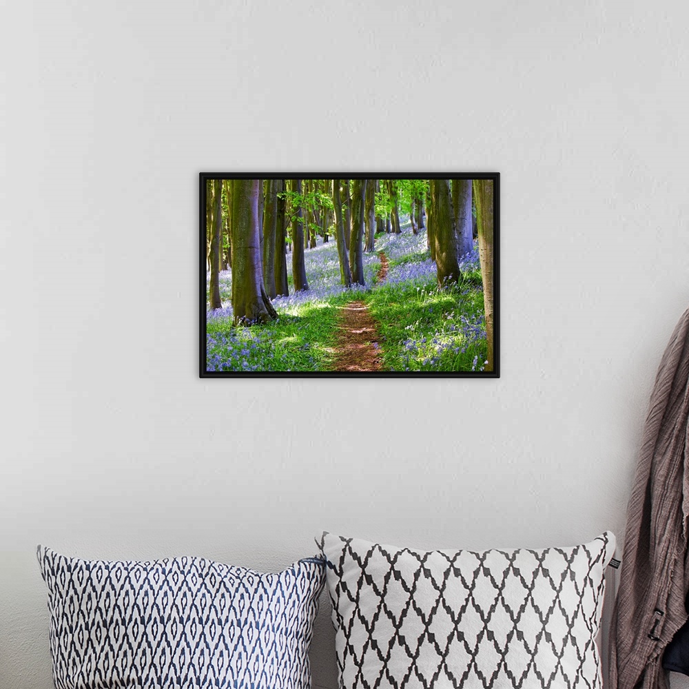 A bohemian room featuring Big photograph focuses on a small dirt path traveling down a dense woodland that is filled with t...