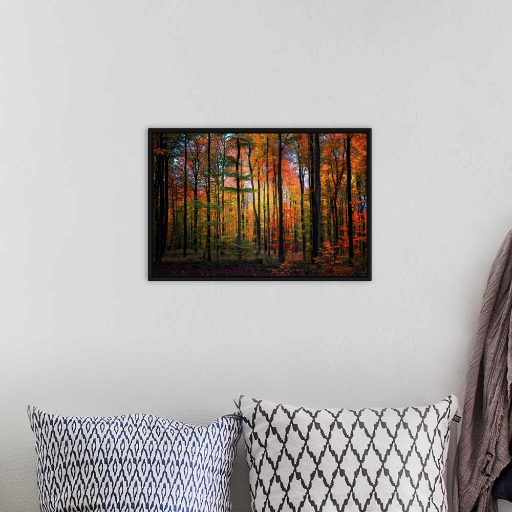 A bohemian room featuring Wall art of a landscape photograph of slender, straight trees in a forest with a rainbow of autum...