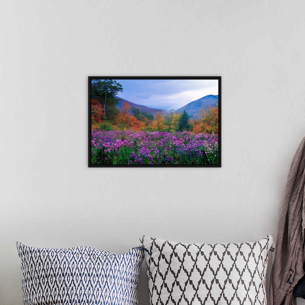 A bohemian room featuring Large landscape photograph of purple flowers and autumn foliage in a meadow at twilight, in Crawf...