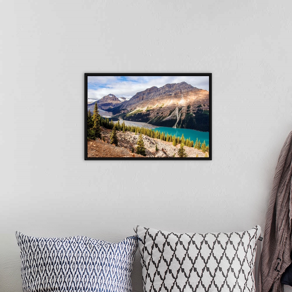 A bohemian room featuring Peyto Lake and Caldron Peak in Banff National Park, Alberta, Canada.