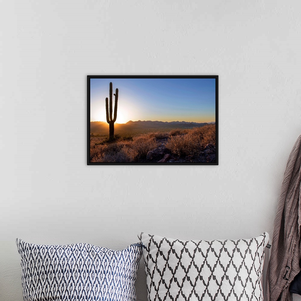 A bohemian room featuring Saguaro cactus at sunset in Phoenix, Arizona.
