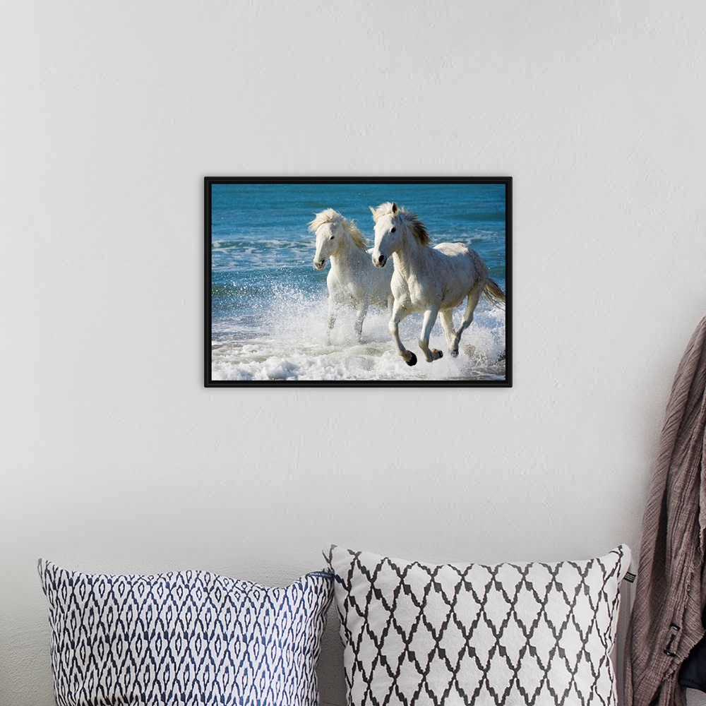 A bohemian room featuring Giant photograph of two Camargue horses galloping along the edge of the ocean on a beach in South...