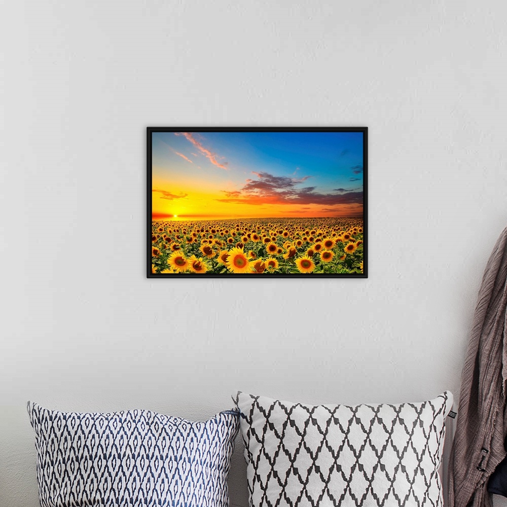 A bohemian room featuring Field of blooming sunflowers at sunset.