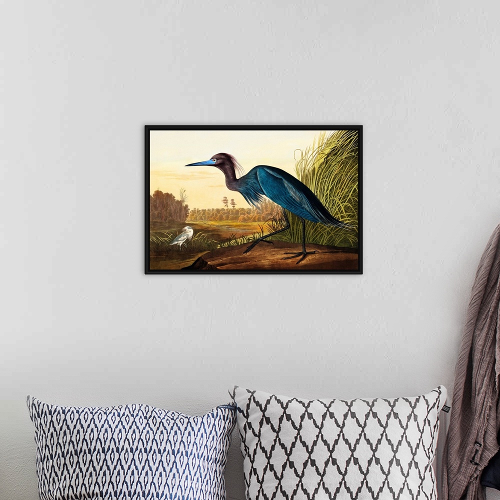 A bohemian room featuring Blue Crane Or Heron