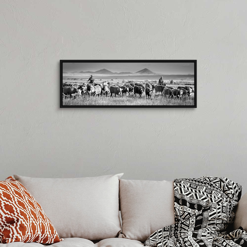 A bohemian room featuring Black and white panoramic photograph of two cowboys herding cattle.