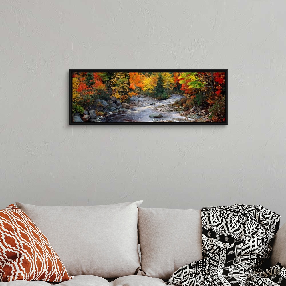 A bohemian room featuring Big, panoramic, photographic wall hanging of a stream with large rocks, flowing through a bright ...