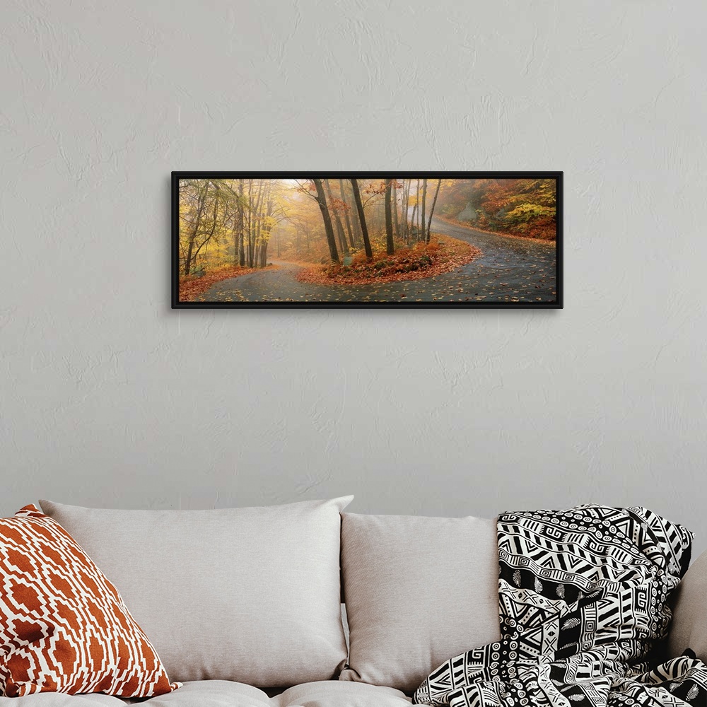 A bohemian room featuring A big panoramic wall hanging of a winding road through a New England forest in autumn.