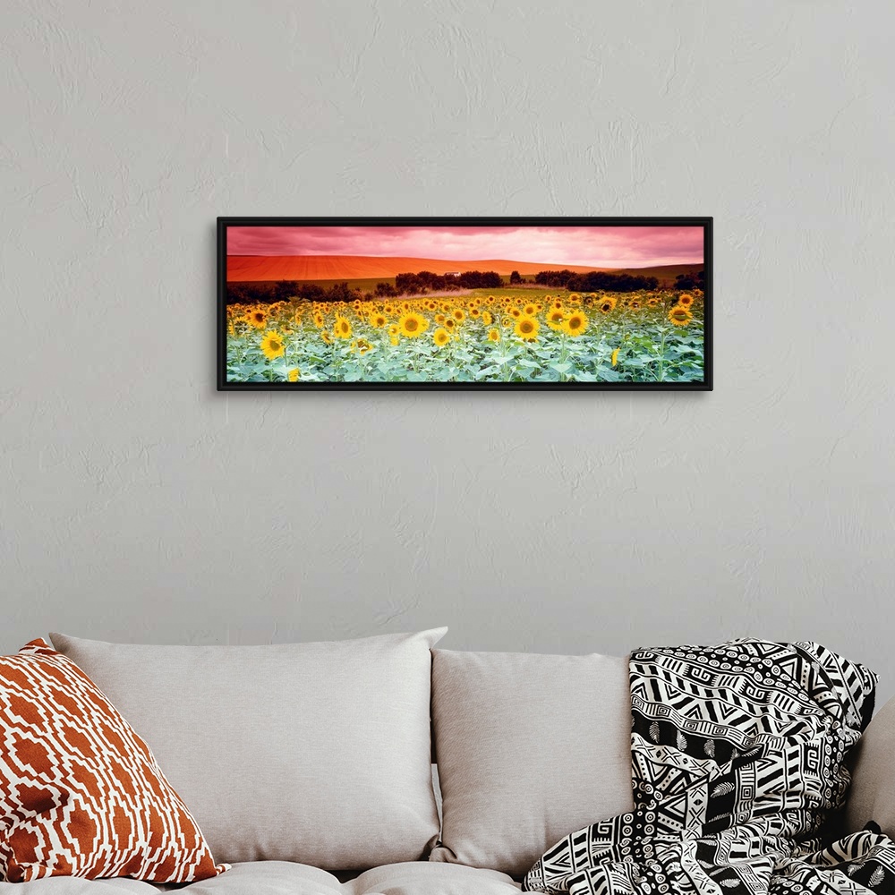 A bohemian room featuring A panoramic photograph of a field of flowers and farmland in the distance on an overcast day.
