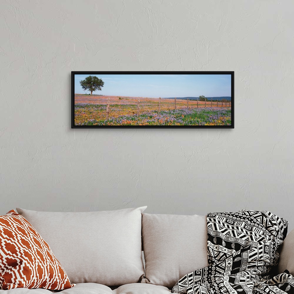 A bohemian room featuring Panoramic photograph displays a large field with endless amounts of colorful flowers that is high...