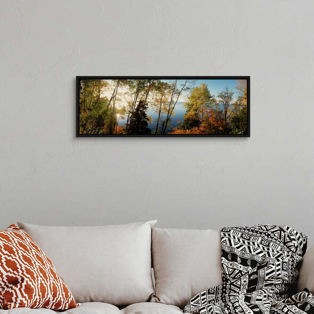 A bohemian room featuring This vertical photograph shows leaves starting to show their autumn colors on trees growing aroun...